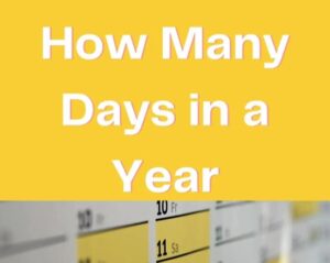 How Many Days Are in a Year? Understanding the Total Days in a Year