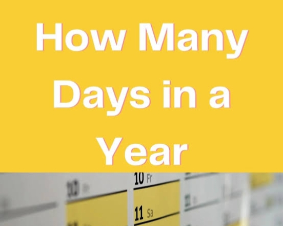 How Many Days Are in a Year? Understanding the Total Days in a Year