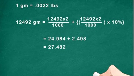 How Many Grams in a Pound? Understanding the Conversion Between Pounds and Grams